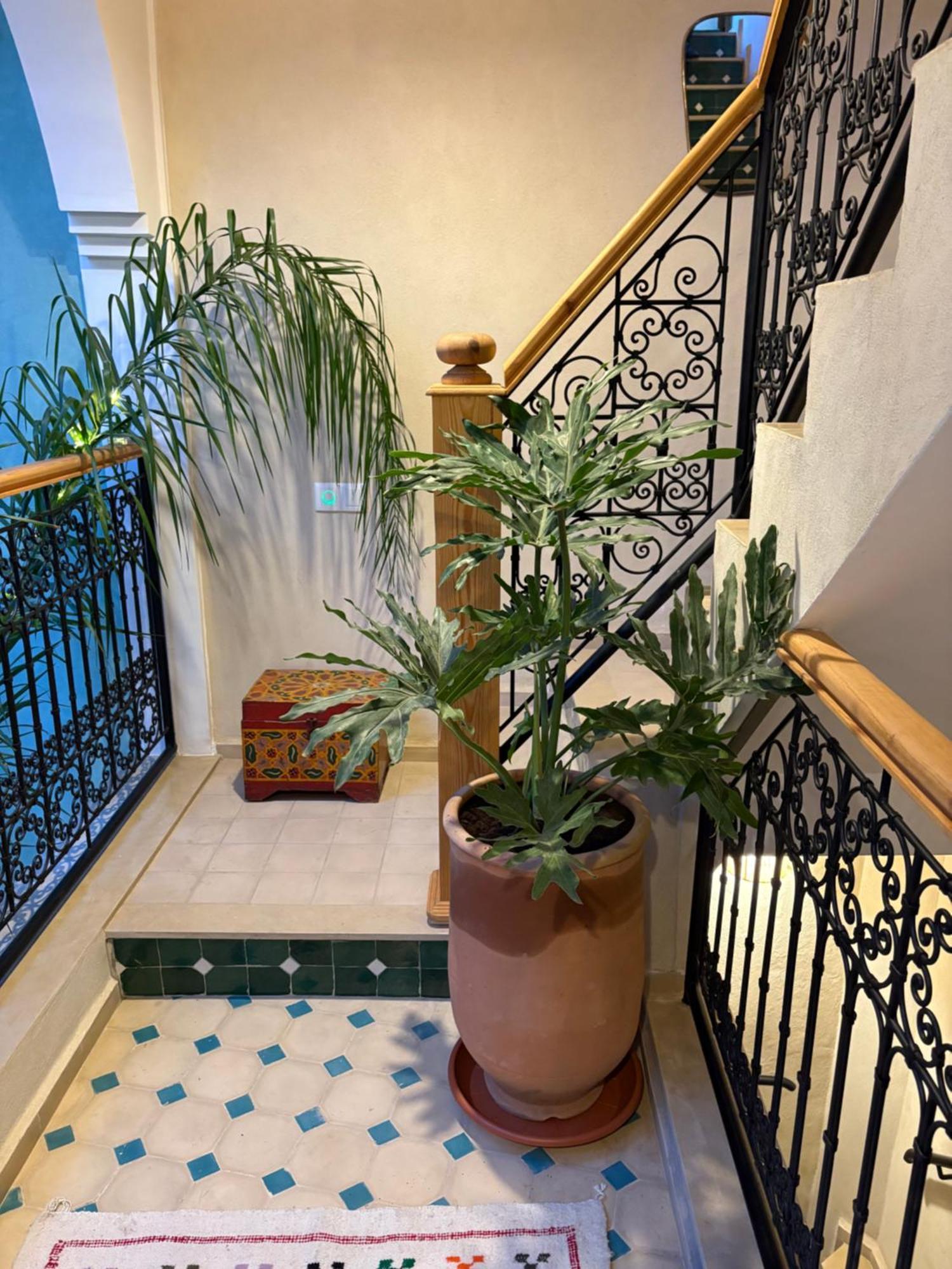 Riad212 Private Medina Fast Wi-Fi Plunge Pool Marrakesh Exterior photo